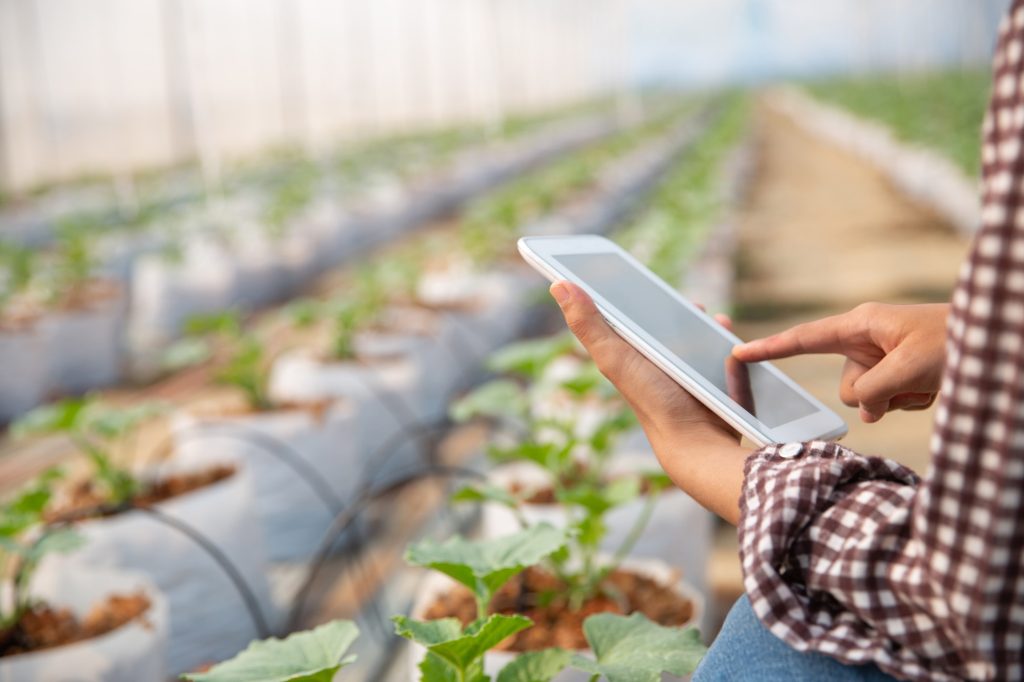 Gestión digital agrícola