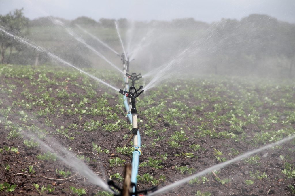 Eficiencia en la digitalización agrícola